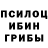 Псилоцибиновые грибы MAGIC MUSHROOMS Polimer AlmaMetall