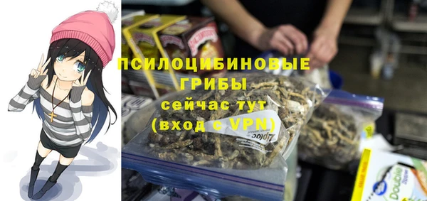 a pvp Алексеевка