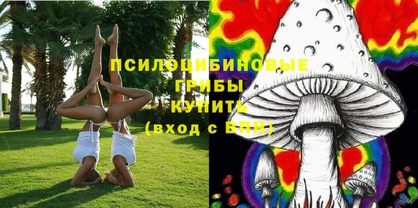 a pvp Алексеевка