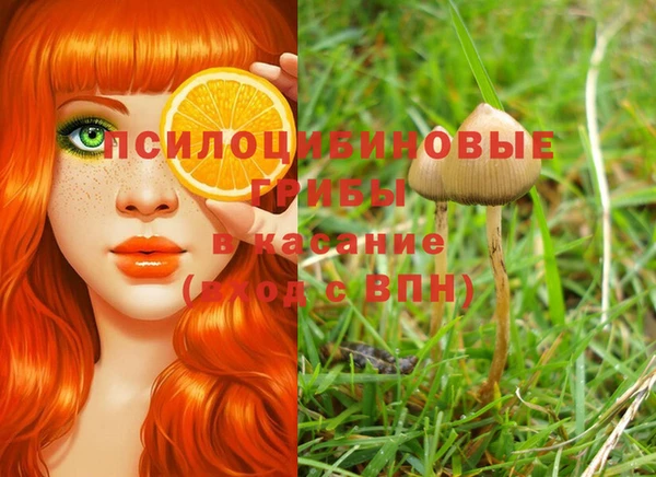 a pvp Алексеевка