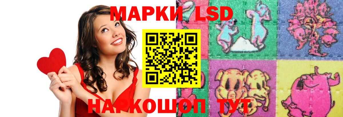 ЛСД экстази ecstasy  Вход с VPN  Шуя  LSD-25 экстази ecstasy 