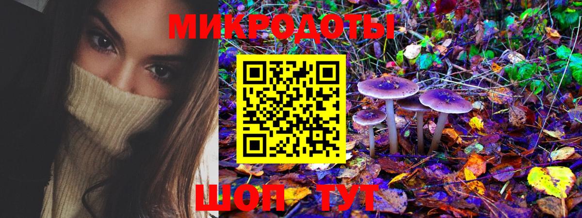 Галлюциногенные грибы Psilocybe Шуя