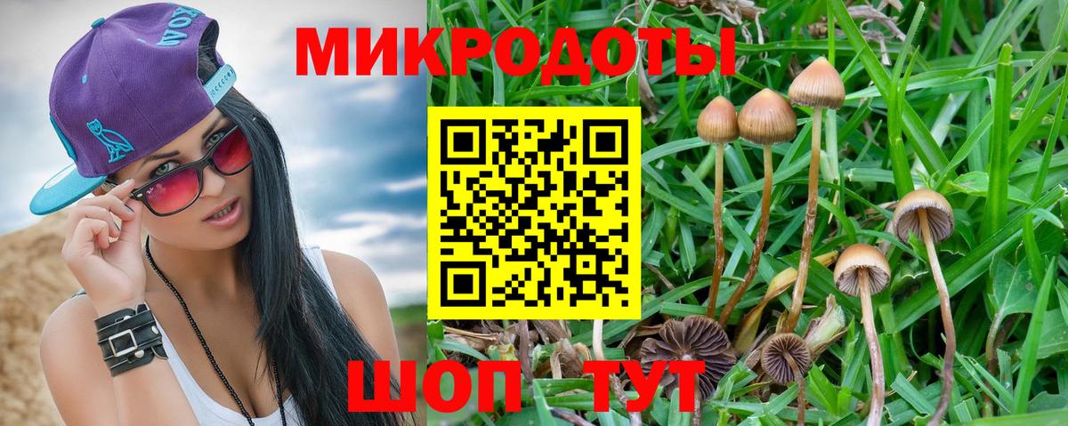 где можно купить   Вход с VPN  Шуя  Псилоцибиновые грибы прущие грибы 