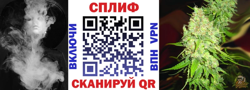 сколько стоит Шуя kraken как зайти Шишки марихуана марихуана